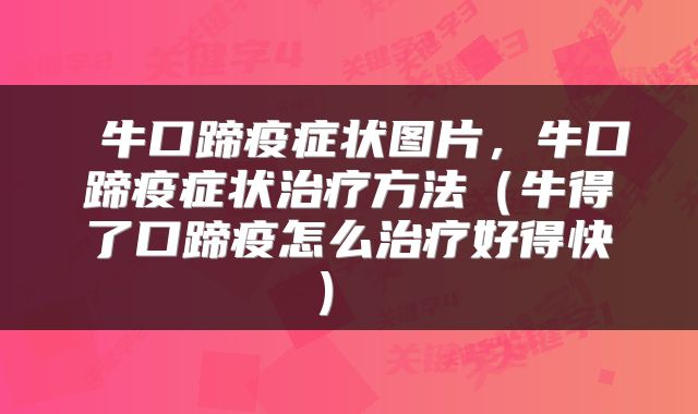  牛口蹄疫症状图片，牛口蹄疫症状治疗方法（牛得了口蹄疫怎么治疗好得快） 