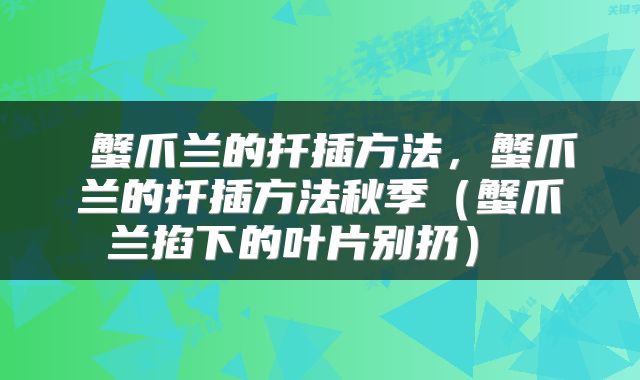  蟹爪兰的扦插方法，蟹爪兰的扦插方法秋季（蟹爪兰掐下的叶片别扔） 