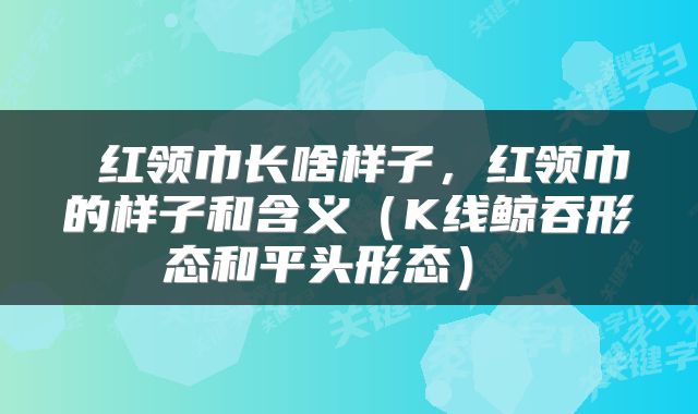  红领巾长啥样子，红领巾的样子和含义（K线鲸吞形态和平头形态） 