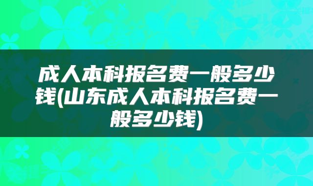 成人本科报名费一般多少钱(山东成人本科报名费一般多少钱)