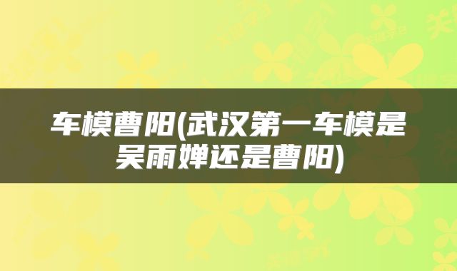 车模曹阳(武汉第一车模是吴雨婵还是曹阳)