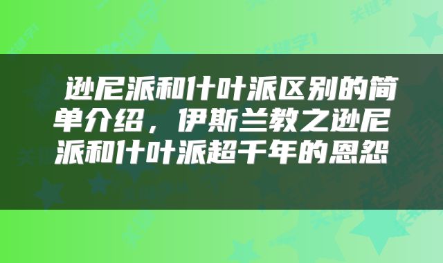  逊尼派和什叶派区别的简单介绍，伊斯兰教之逊尼派和什叶派超千年的恩怨 