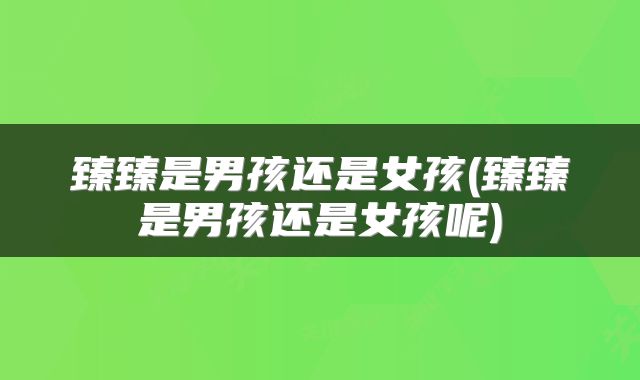 臻臻是男孩还是女孩(臻臻是男孩还是女孩呢)