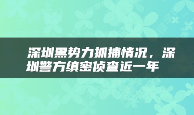  深圳黑势力抓捕情况，深圳警方缜密侦查近一年 