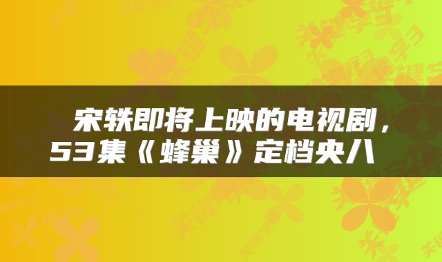  宋轶即将上映的电视剧，53集《蜂巢》定档央八 