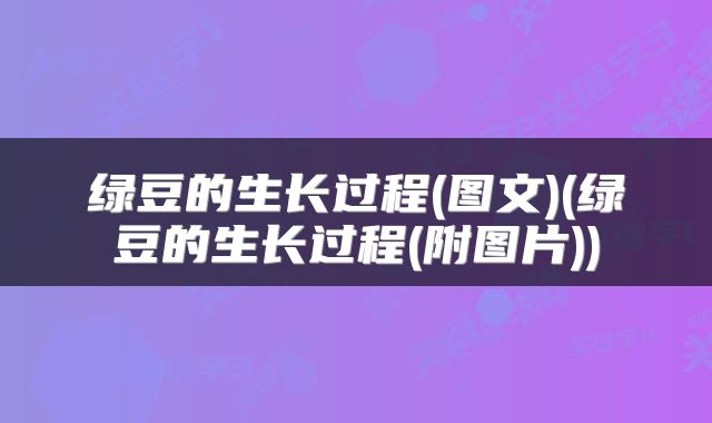 绿豆的生长过程(图文)(绿豆的生长过程(附图片))