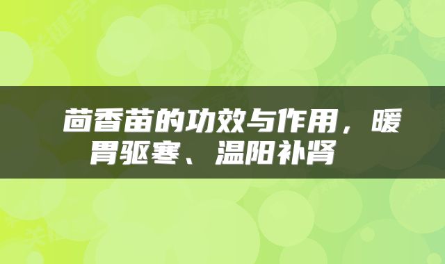  茴香苗的功效与作用，暖胃驱寒、温阳补肾 
