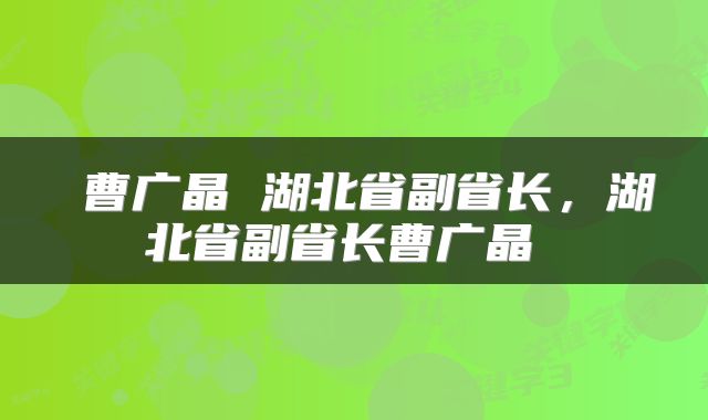  曹广晶 湖北省副省长，湖北省副省长曹广晶 
