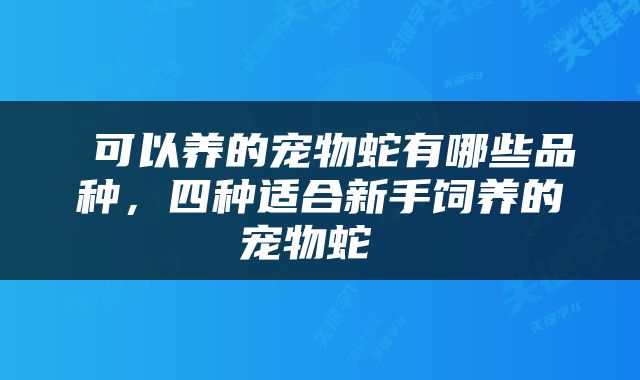  可以养的宠物蛇有哪些品种，四种适合新手饲养的宠物蛇 