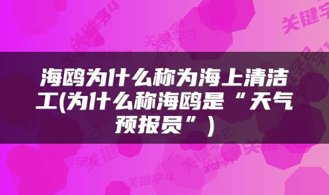 海鸥为什么称为海上清洁工(为什么称海鸥是“天气预报员”)