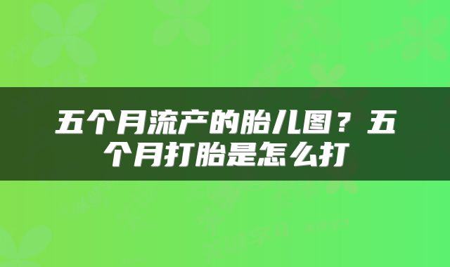 五个月流产的胎儿图？五个月打胎是怎么打
