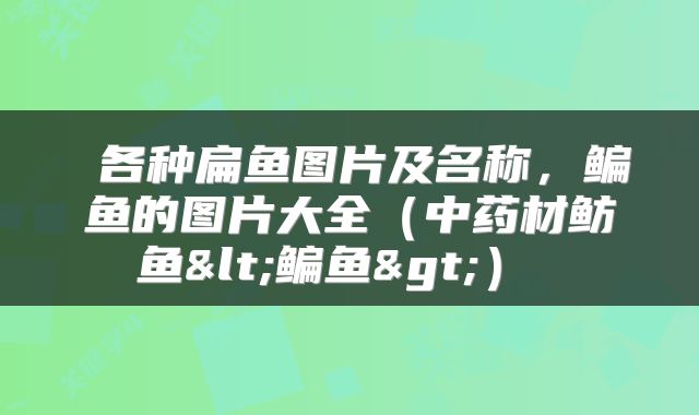  各种扁鱼图片及名称，鳊鱼的图片大全（中药材鲂鱼<鳊鱼>） 