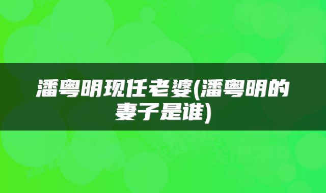 潘粤明现任老婆(潘粤明的妻子是谁)