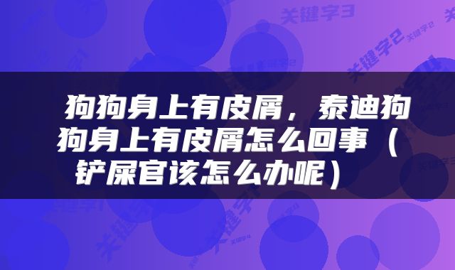  狗狗身上有皮屑，泰迪狗狗身上有皮屑怎么回事（铲屎官该怎么办呢） 