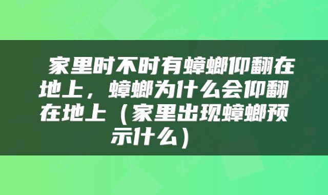  家里时不时有蟑螂仰翻在地上，蟑螂为什么会仰翻在地上（家里出现蟑螂预示什么） 