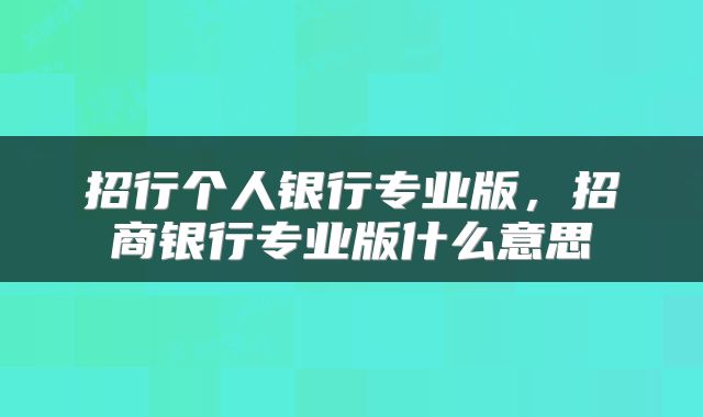 招行个人银行专业版，招商银行专业版什么意思