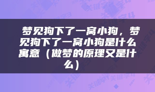  梦见狗下了一窝小狗，梦见狗下了一窝小狗是什么寓意（做梦的原理又是什么） 