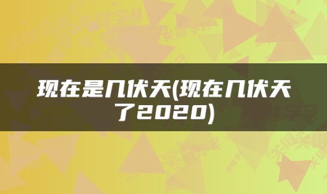 现在是几伏天(现在几伏天了2020)
