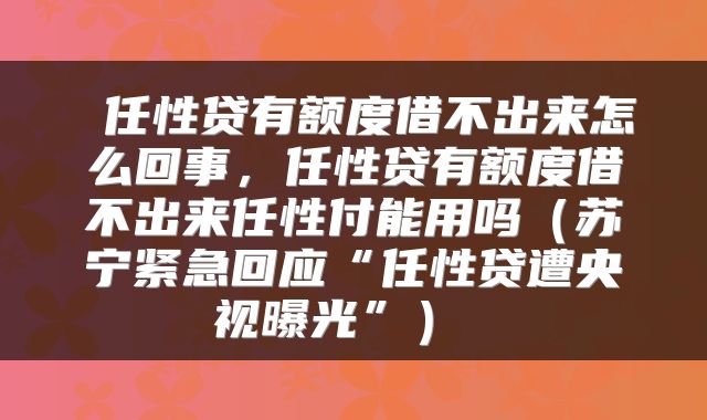  任性贷有额度借不出来怎么回事，任性贷有额度借不出来任性付能用吗（苏宁紧急回应“任性贷遭央视曝光”） 