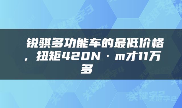  锐骐多功能车的最低价格，扭矩420N·m才11万多 
