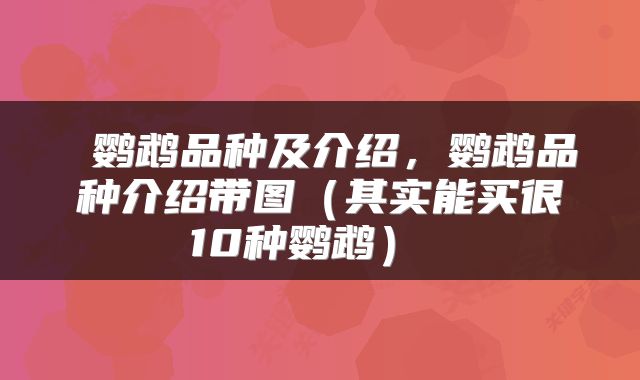  鹦鹉品种及介绍，鹦鹉品种介绍带图（其实能买很10种鹦鹉） 