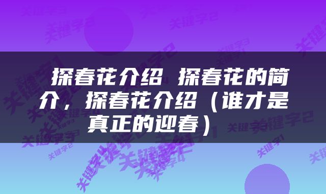  探春花介绍 探春花的简介，探春花介绍（谁才是真正的迎春） 