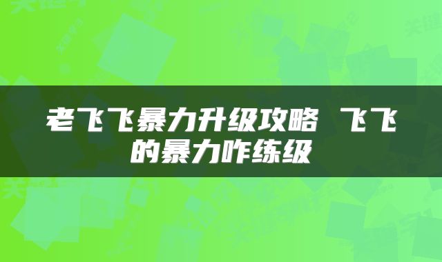 老飞飞暴力升级攻略 飞飞的暴力咋练级
