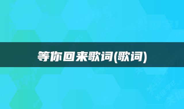 等你回来歌词(歌词)