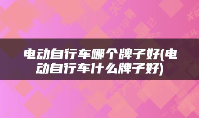 电动自行车哪个牌子好(电动自行车什么牌子好)