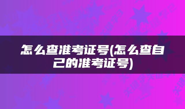 怎么查准考证号(怎么查自己的准考证号)