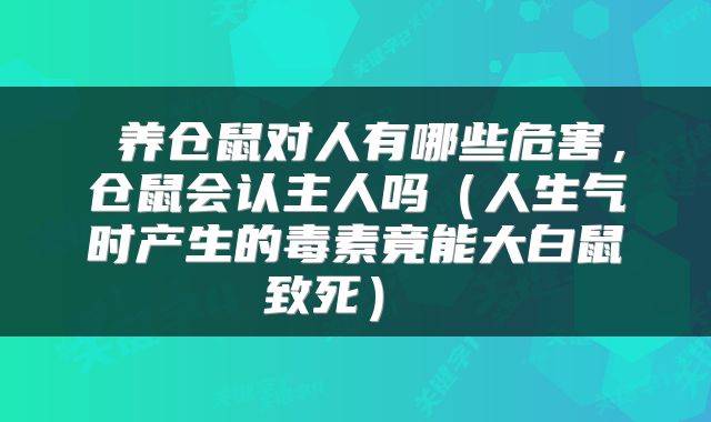 养仓鼠对人有哪些危害，仓鼠会认主人吗（人生气时产生的毒素竟能大白鼠致死） 