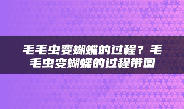 毛毛虫变蝴蝶的过程？毛毛虫变蝴蝶的过程带图