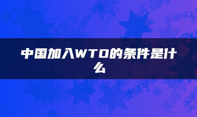 中国加入WTO的条件是什么