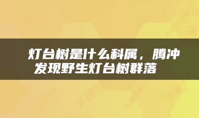  灯台树是什么科属，腾冲发现野生灯台树群落 