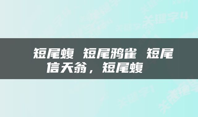  短尾蝮 短尾鸦雀 短尾信天翁，短尾蝮 