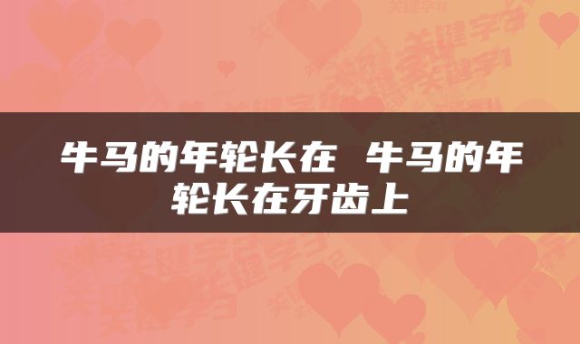 牛马的年轮长在 牛马的年轮长在牙齿上