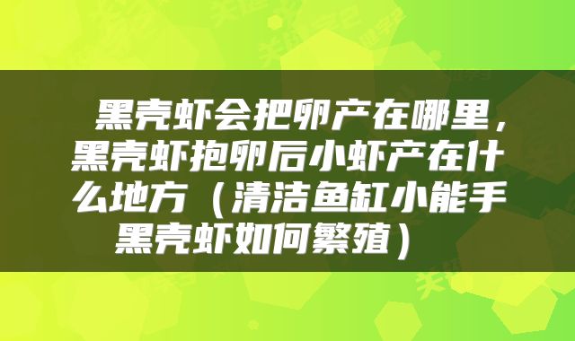  黑壳虾会把卵产在哪里，黑壳虾抱卵后小虾产在什么地方（清洁鱼缸小能手黑壳虾如何繁殖） 