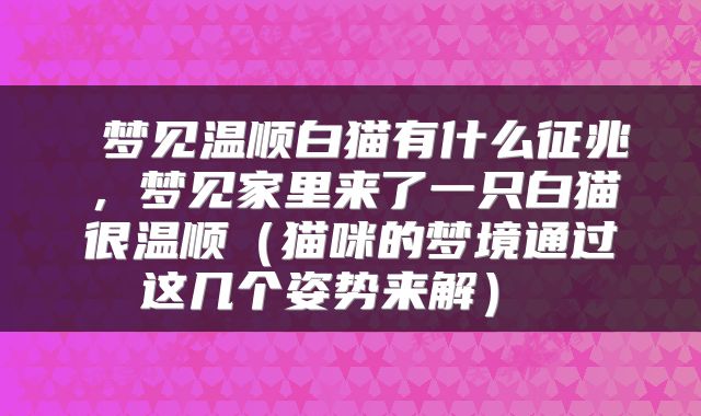  梦见温顺白猫有什么征兆，梦见家里来了一只白猫很温顺（猫咪的梦境通过这几个姿势来解） 