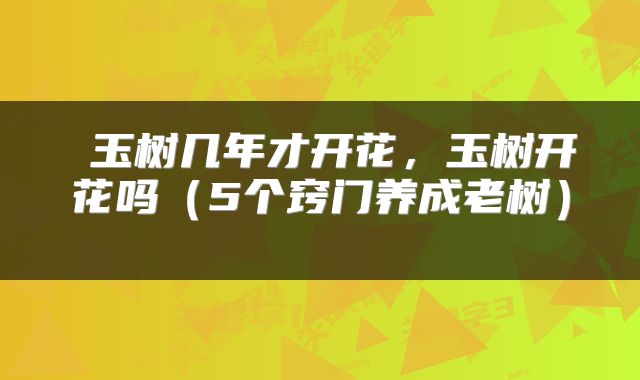  玉树几年才开花，玉树开花吗（5个窍门养成老树） 