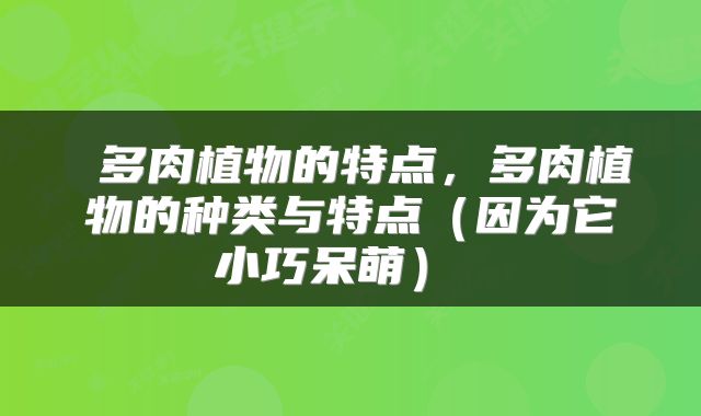  多肉植物的特点，多肉植物的种类与特点（因为它小巧呆萌） 