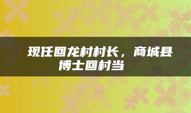  现任回龙村村长，商城县博士回村当 