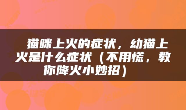  猫咪上火的症状，幼猫上火是什么症状（不用慌，教你降火小妙招） 
