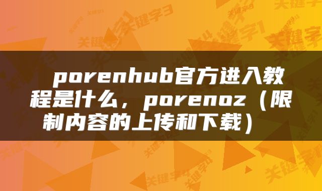  porenhub官方进入教程是什么，porenoz（限制内容的上传和下载） 