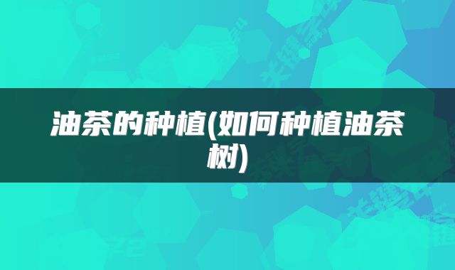 油茶的种植(如何种植油茶树)