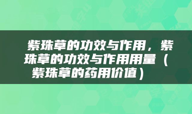  紫珠草的功效与作用，紫珠草的功效与作用用量（紫珠草的药用价值） 