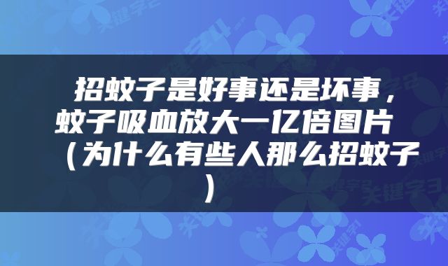  招蚊子是好事还是坏事，蚊子吸血放大一亿倍图片（为什么有些人那么招蚊子） 