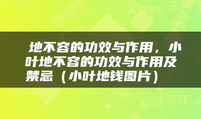  地不容的功效与作用，小叶地不容的功效与作用及禁忌（小叶地钱图片） 