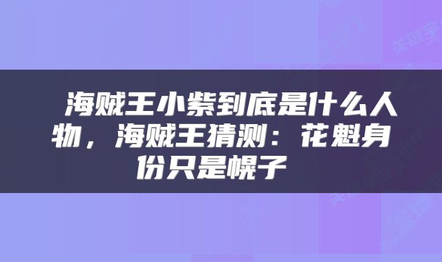  海贼王小紫到底是什么人物，海贼王猜测：花魁身份只是幌子 
