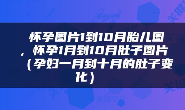  怀孕图片1到10月胎儿图，怀孕1月到10月肚子图片（孕妇一月到十月的肚子变化） 