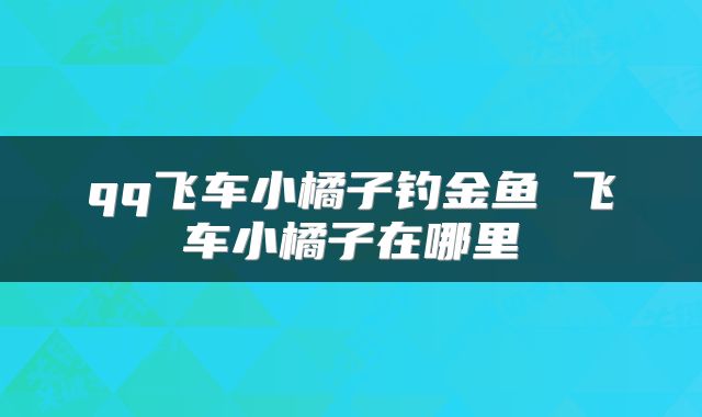 qq飞车小橘子钓金鱼 飞车小橘子在哪里